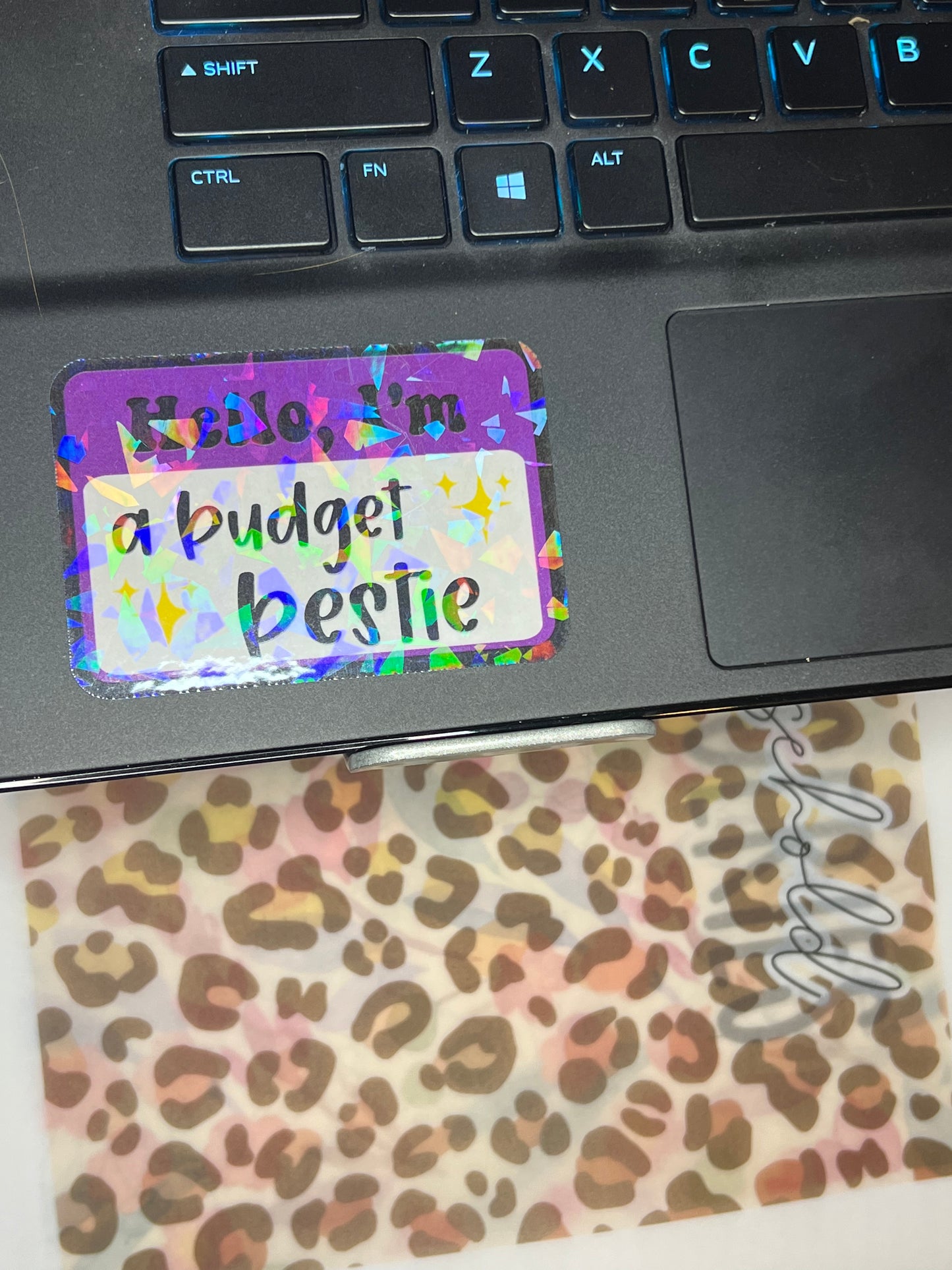 Hello, I'm A Budget Bestie