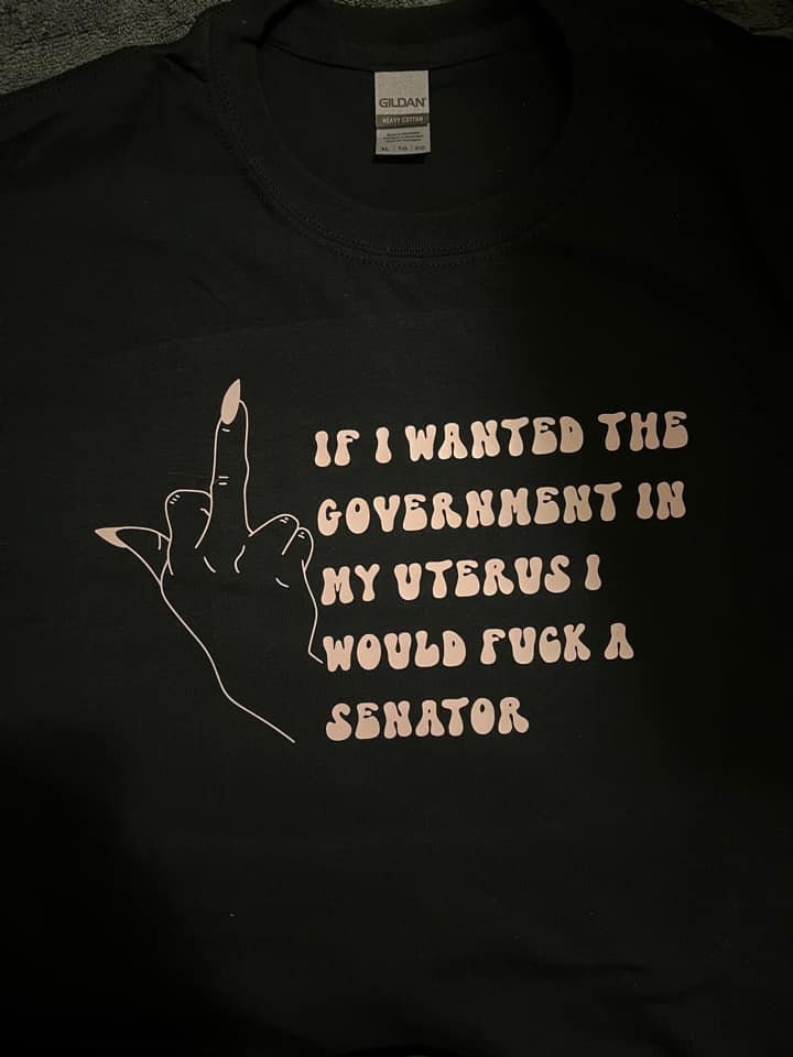 If I Wanted the Government